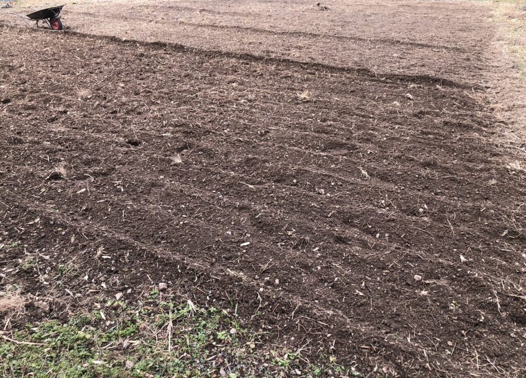 整地DCIM 121APPLE IMG