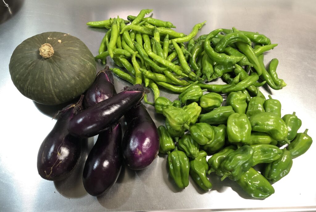 収穫野菜DCIM 126APPLE IMG 6091