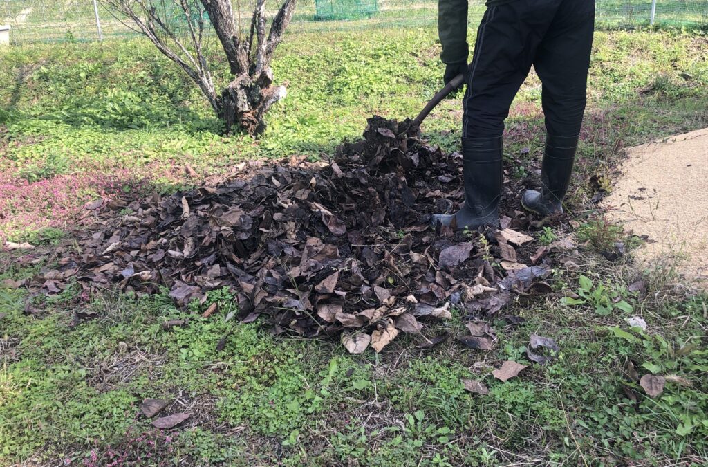 腐葉土作りDCIM 126APPLE IMG