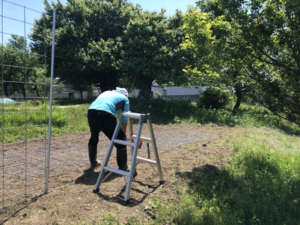 鹿柵設置DCIM 121APPLE IMG 1938